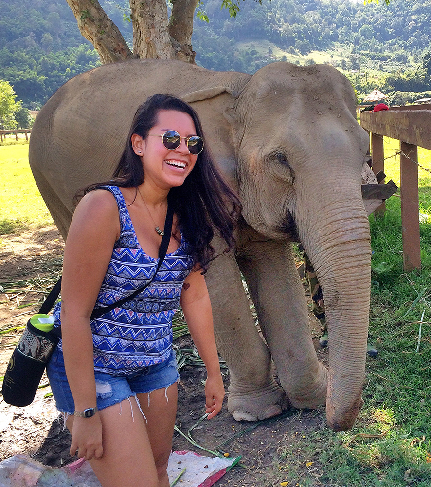 Conhecendo os elefantes no Elephant Nature Park