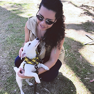 acessórios para pets